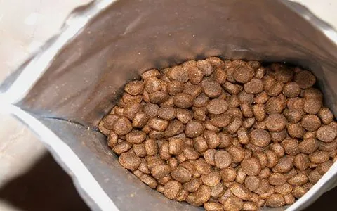 راهنمای خرید خوراک ماهی و آبزیان + قیمت عالی