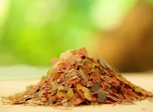 راهنمای خرید خوراک ماهی و آبزیان + قیمت عالی